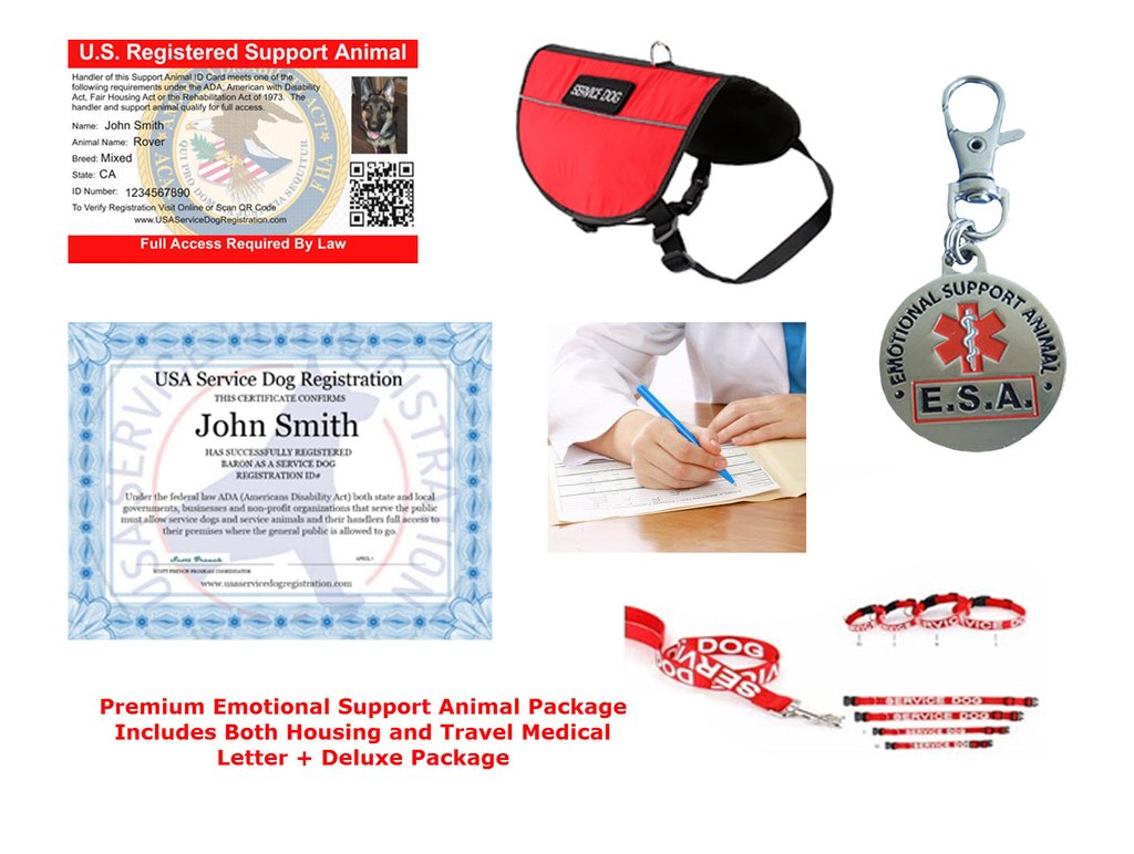 USA Service Dog Registration ESA Letter See Our In Depth Review